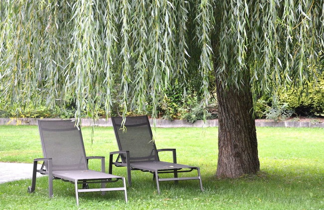 Beautiful Villa in Houffalize With Garden - Photo 23