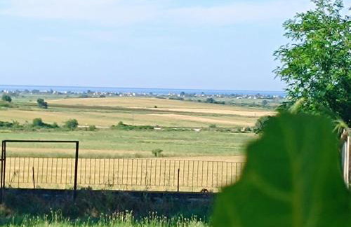 Grandmas Cottage - Foto 11