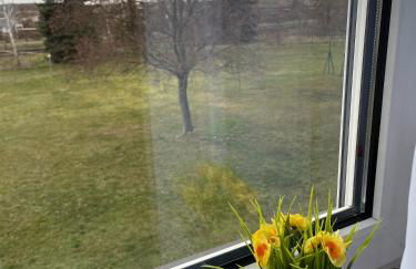 Ruhige Ferienwohnung Zeithain - Foto 23