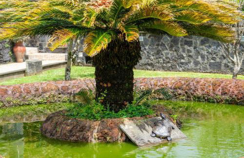Quinta da Paz Azores - Photo 17
