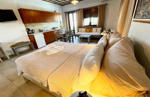 Pantheon Apartments & Studios - Photo 6