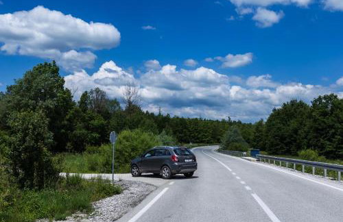 Forest Escape - Foto 52