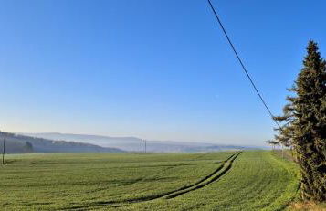 Apartmenthaus Haus am Grün - Foto 14