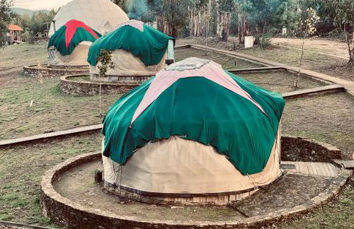 Quinta de São José dos Montes - Foto 53