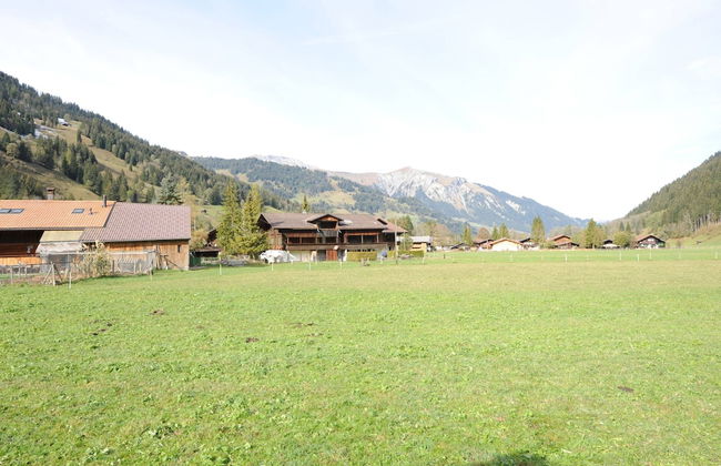 Chalet in Lenk Near Simmen Falls - Foto 16