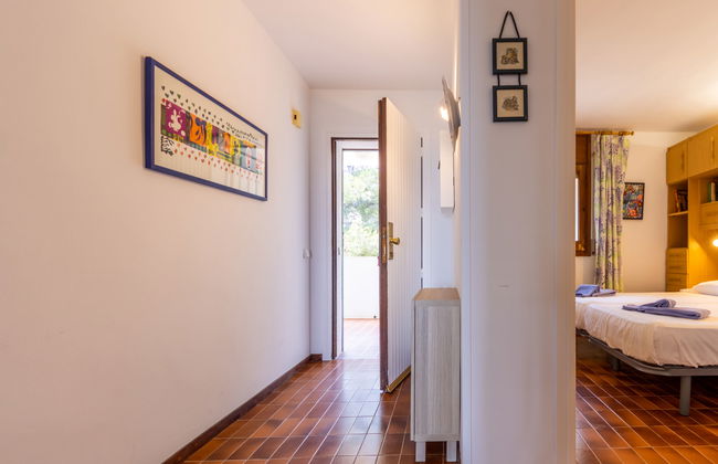 Constel·lació - Foto 19