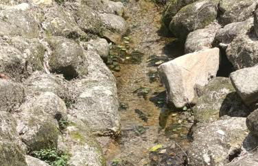 Refúgio Atlântico - Foto 79