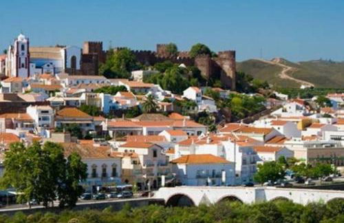 Garden in the City - Photo 17