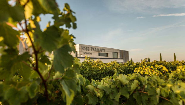 Visita a las bodegas José Pariente - Foto 2