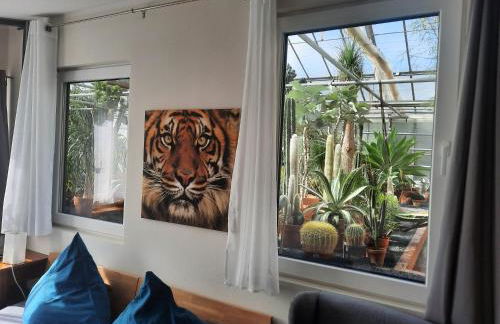 Studio Mini-Mexiko - Foto 15