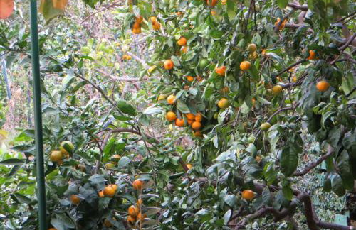 Holiday Home Artina 2 - Foto 35