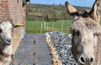 la chambrée - Foto 11