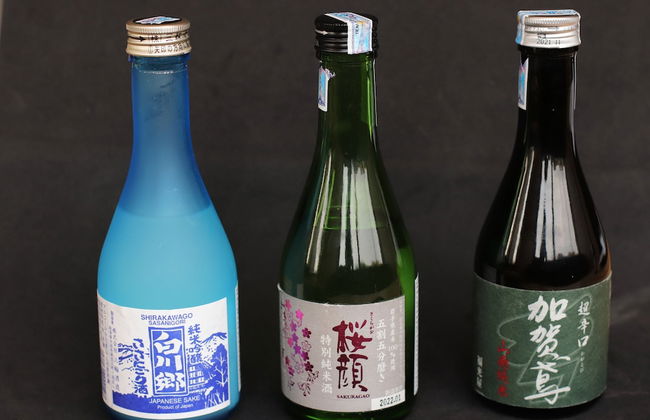 Roygent Parks Hai Phong - Foto 76