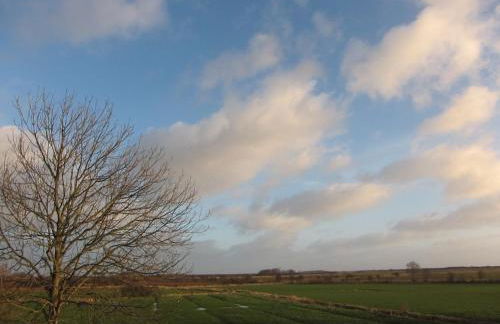 Nordseekrabbe 12 Herrenhof - Foto 12