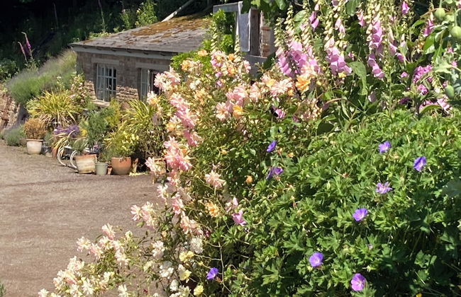 Outstandingly Situated Cosy Shepherds Hut - Photo 25