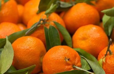 Casa Luis - Javea - Spanien - Foto 14