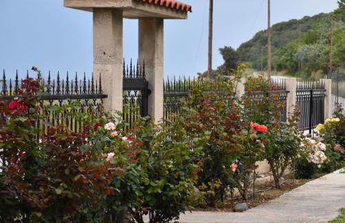 Salt and petals - Foto 14