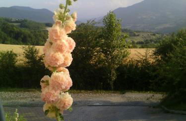 Poggio d'Incanto - Photo 16