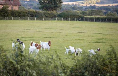 Doeling Barcombe - Foto 15