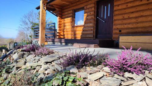 Kwietna łąka na szlaku - Foto 4