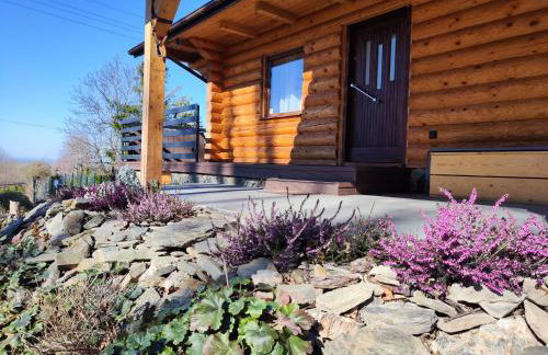 Kwietna łąka na szlaku - Foto 4