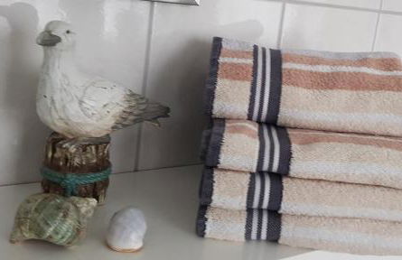 Ferienhaus Schwalbenrast - Foto 22