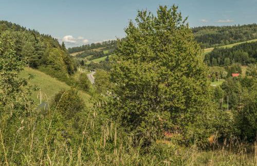 Kałamunka - Foto 78