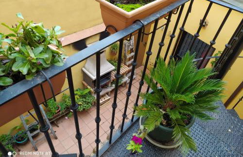 la felicidad de la tierra - Foto 9