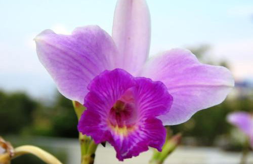 Apto em Maitinga/Bertioga - Foto 17