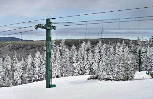 West Virginia Cabin Near Snowshoe Mountain Resort - Foto 39