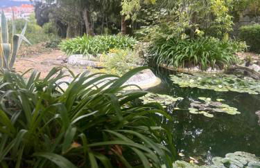 Casa Do Refugio Guest House - Foto 59