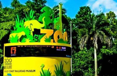 Insta Worthy Modern Bungalow - Foto 23