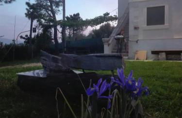 Casale Fonte delle Pietre - Foto 43