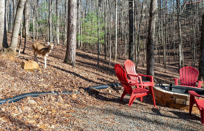 Deer Watch Retreat - Photo 53