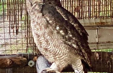 Agriturismo Villa Paradiso Esotico - Photo 46