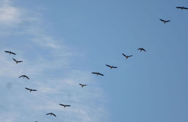 Holiday Home Rike Comfortable Vacation Home - Foto 27