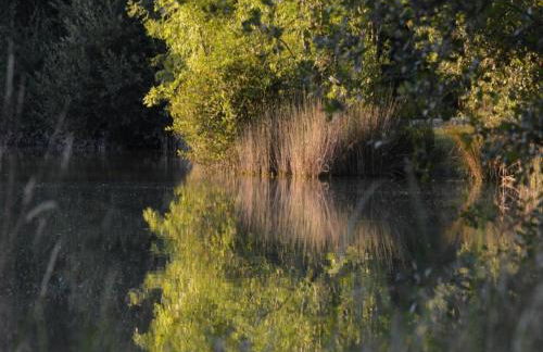 Holiday Home in Loubigne With Pool & Terrace - Foto 57