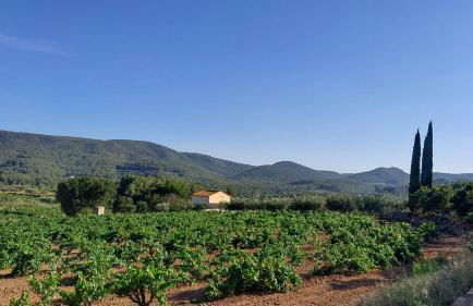Casa Rural Cal Martí - Foto 29
