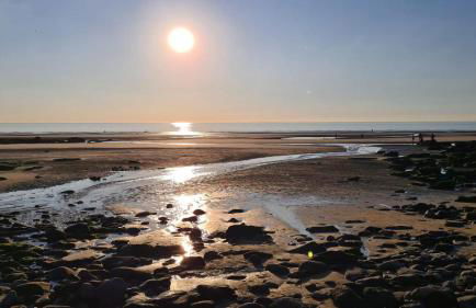 Le cottage sauvage - Foto 11