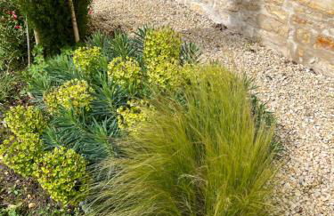 CERES HOME - Foto 10