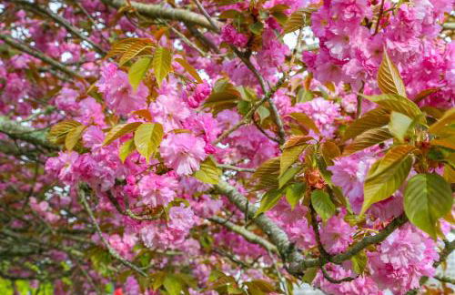 Island Sanctuary - Foto 26