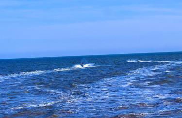 Coopers Beach 3-bed Caravan, Sleeps 8 & Pets Ok - Foto 77