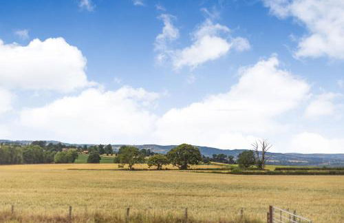 Wood Cottage - Foto 47