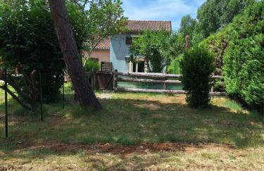 Les cyprès - Photo 1