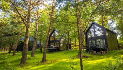 Narusa Leśna Przystań - Foto 3, Garden, Garden view