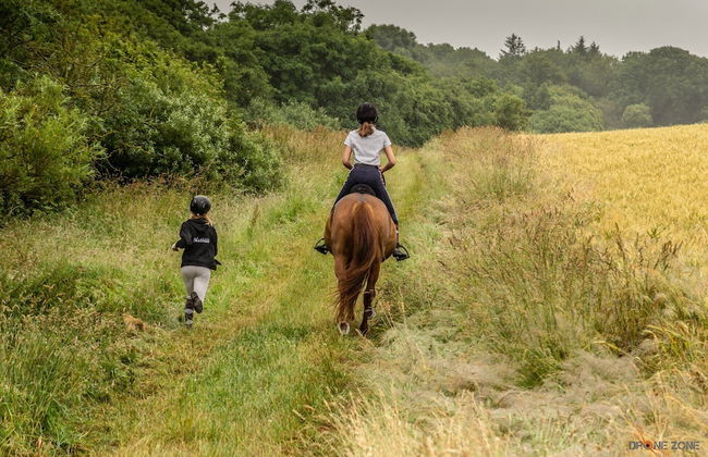 Les Cabanes de Warincthun - Foto 66