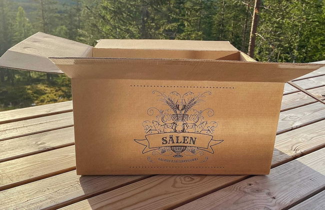 Holiday Home in SÃ¤len - Foto 25