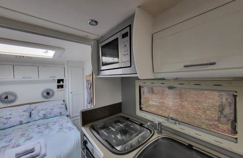 Glamping With Llamas - Foto 64