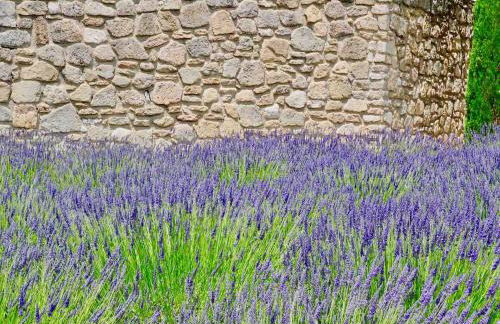 LASUITE Domaine Bertuli, heated Pool, Aircon - Foto 52