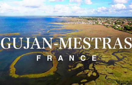 La Coccinelle - Foto 15